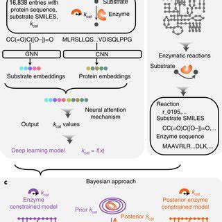 dlkcat|cat deep learning.